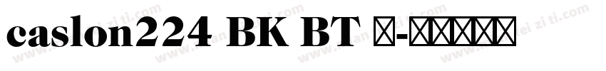 caslon224 BK BT 粗字体转换